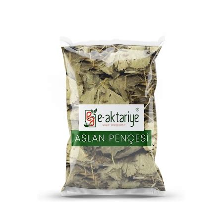 e disli aslan tohumu kullananlarrr.